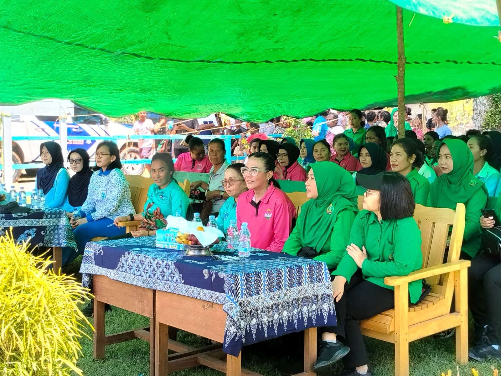 TP-PKK Papua Selatan
