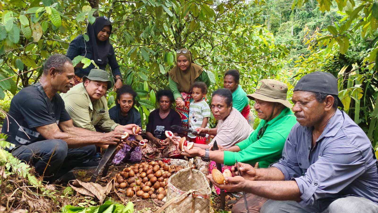 Meri Totora Warnai Panen Pala di Kampung Wartutin