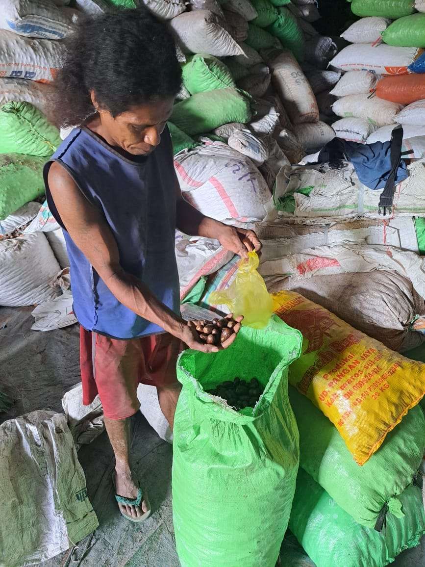 Dinas Perkebunan Fakfak Periksa Mutu Pala Siap Kirim