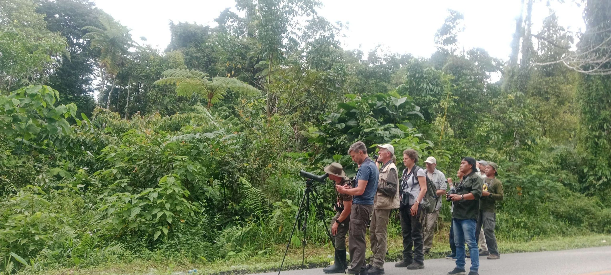Wisatawan Mancanegara Kagumi Alam dan Satwa Liar Fakfak